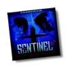 SENTINEL - A NEW Spy Mystery Game